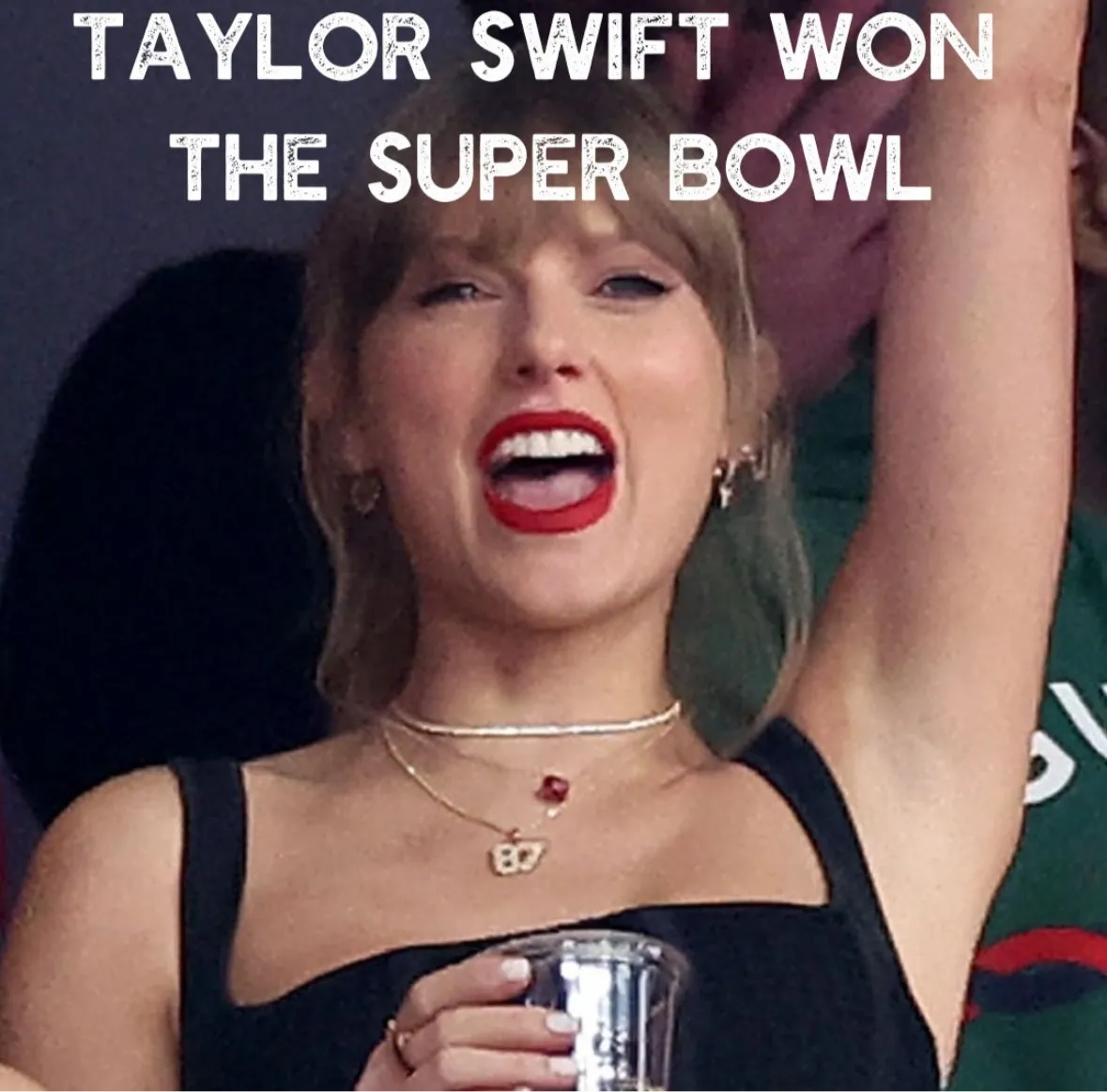 sm taylor pants